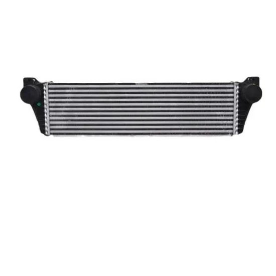 Mercedes HELLA Turbo Radyatoru A6395011301 W639 Mercedes HELLA Turbo Radyatoru A6395011301 W639 yedek parça