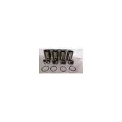 Clio 1 - I Motor Seti Kiti 6001543007 - 8871836STD Clio 1 - I Motor Seti Kiti 6001543007 - 8871836STD