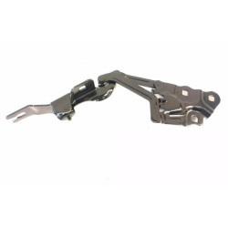 IOE-BMW Kaput Menteşe : R 41617262876 X3 F25 X4 F26