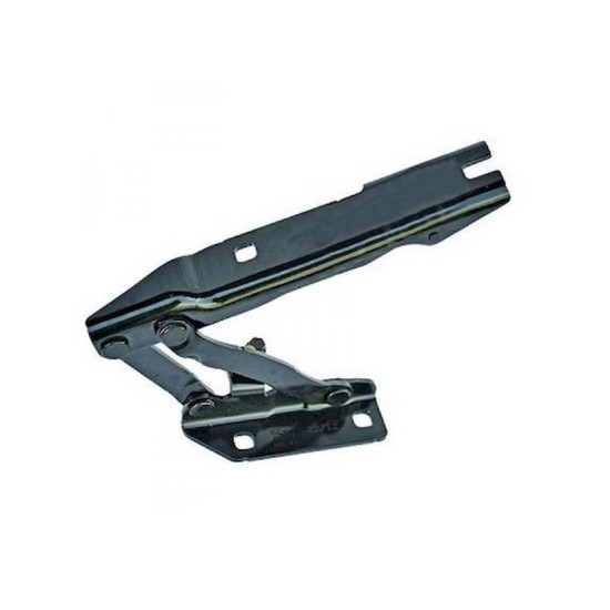 IOE-BMW Kaput Menteşesi Sağ 41617120276 E60 60 LCI E61 E61 LCI IOE-BMW Kaput Menteşesi Sağ 41617120276 E60 60 LCI E61 E61 LCI yedek parça
