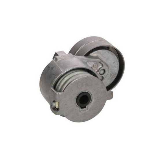 Renault INA V Kayis Gergisi Komple 8200492180 CLIO III MEGANE Renault INA V Kayis Gergisi Komple 8200492180 CLIO III MEGANE yedek parça