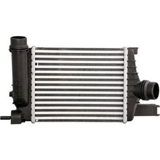 Dacia KALE Turbo Radyatoru 144961381R CLIO IV CAPTUR yedek parça