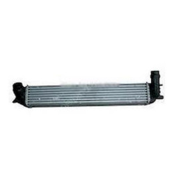 Laguna 3 - III Turbo Radyatörü 144610001N