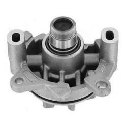 Renault KALE Devirdaim 7701472625 MASTER
