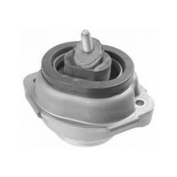 LEMFORDER Motor Takozu Sağ 22116770794 X5 E53