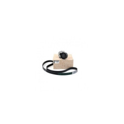 Clio 2 - II Alternatör Kayış Gergi Kiti 7701476476 - 117203694R Clio 2 - II Alternatör Kayış Gergi Kiti 7701476476 - 117203694R