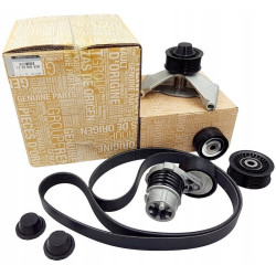 Clio 4 - IV Alternatör Kayış Gergi Kiti 117204083R