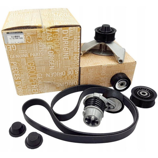 Clio 4 - IV Alternatör Kayış Gergi Kiti 117204083R Clio 4 - IV Alternatör Kayış Gergi Kiti 117204083R yedek parça