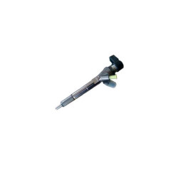 Duster 1 - I Enjektör 110 Bg Tane Fytı 166008052R Duster 1 - I Enjektör 110 Bg Tane Fytı 166008052R