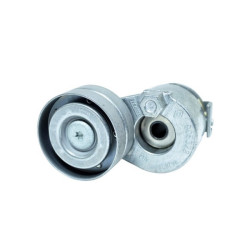 Mais Alternatör Kayıs Gergısı Clıo Iıı 8200905328