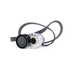 Mais Alternatör Kayıs Kıtı Clıo Iv Euro 5 117202495R