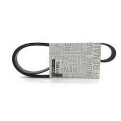 Mais Alternatör Kayışı Clıo Iv 117208309R