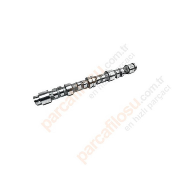 Mais Eksantrık Mılı Lodgy 130017870R yedek parça
