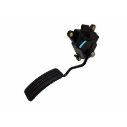 Mais Gaz Pedalı+Kaptör Clıo Iıı 8200297342