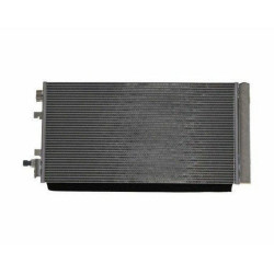 Mais Kondansör Fluence 921009956R