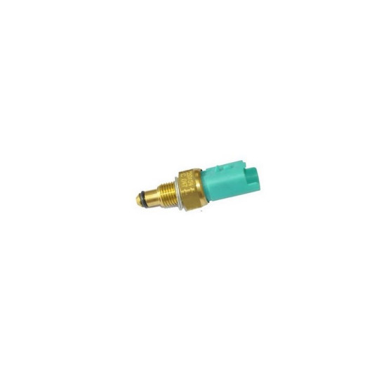 Mais Mazot Pompa Sıcaklık Müsürü Clıo Kango 1.57701206904 166391343R yedek parça