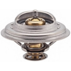 Mais Termostat Safrane 7700260959