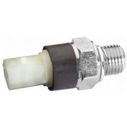 Mais Yağ Müşürü 252402757R Mais Yağ Müşürü 252402757R