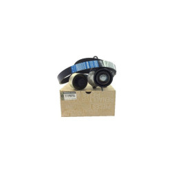 Master 3 - III Alternatör Kayış Gergi Kiti 117209956R Master 3 - III Alternatör Kayış Gergi Kiti 117209956R