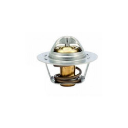 Solenza Termostat Komple 8200772985