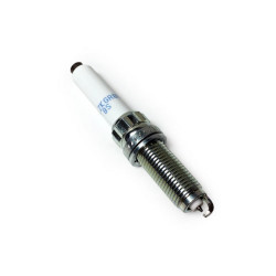 Bmw NGK Buji 12120040551 F20 F21 F22