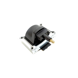 NGK Ateşleme Bobini 7701030273 R9 R11 R19