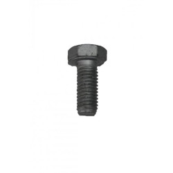 Orjinal Civata M8X125-20 7703101443 Orjinal Civata M8X125-20 7703101443