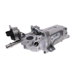Orjinal Egr Soğutucu Motordan Mst3 Master Faz 3 147354876R