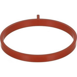 Orjinal Manifold Contası Clıo Iv (1Adet) 140359150R