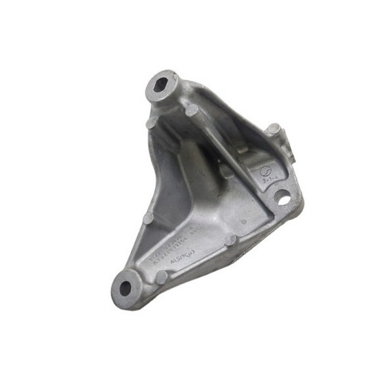 Orjinal Motor Aksesuar Suportu 117107507R yedek parça