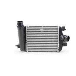 Orjinal Turbo Radyatörü Clıo Iv 144961019R