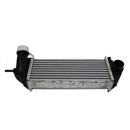 Orjinal Turbo Radyatörü Kango Ym 144961489R 144963234R Orjinal Turbo Radyatörü Kango Ym 144961489R 144963234R yedek parça