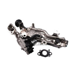 Bmw PIERBURG Egzos Radyatoru 11718513691 F20 LCI F21