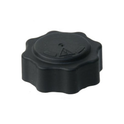 Land Rover RAPRO Radyator Kapagi 17107515499 MINI R50 R52