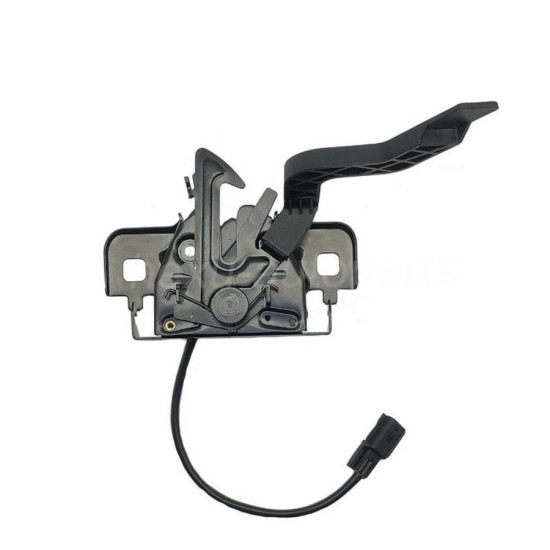Motor Kaput Kilidi 656011344R yedek parça