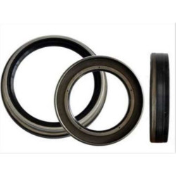 Renault SKT Aks Kecesi Arka 7703087072 12 TOROS