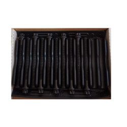 R19 Europa Silindir Kapak Saplaması 7700865991