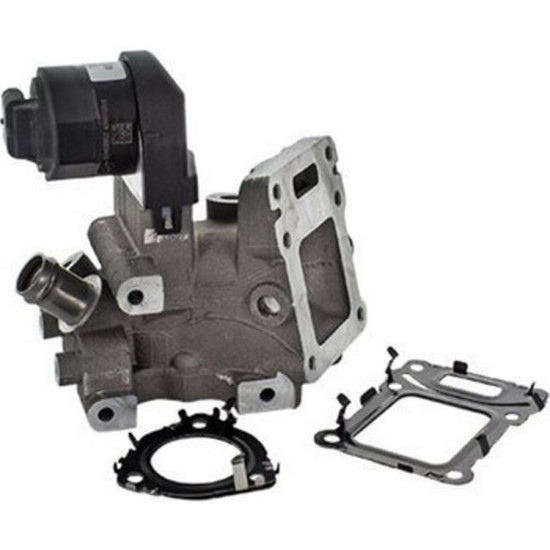 WAHLER Egr Valfi A2741420519 205 207 213 X253 172 yedek parça