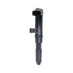 Weber Bobın Kalem Megan Laguna Scenıc 1.4 16V 1.6 16V K4 8200568671
