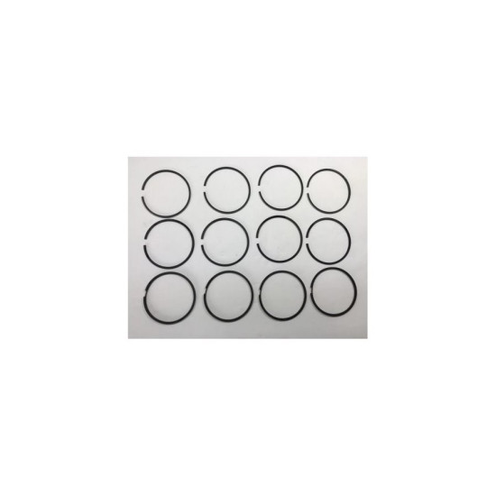 Megane 1- I Motor Piston Sekman Takım 050 9174050 Megane 1- I Motor Piston Sekman Takım 050 9174050 yedek parça