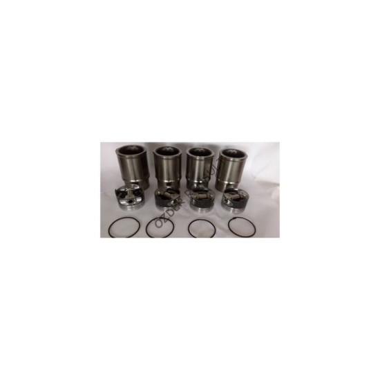 R19 Europa Motor Seti Kiti Takım 7702131137 - 7701465872 yedek parça