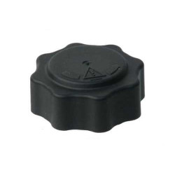 Febi Radyatör Yedek Su Depo Kapağı 1.15 Bar Mini R50 R53 R52 17107515499 Febi Radyatör Yedek Su Depo Kapağı 1.15 Bar Mini R50 R53 R52 17107515499